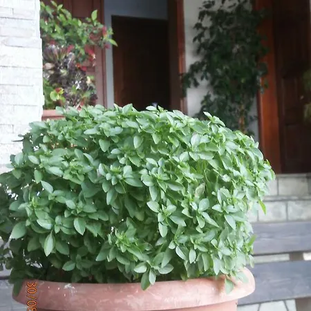 Apartment Ioannis Avrades *